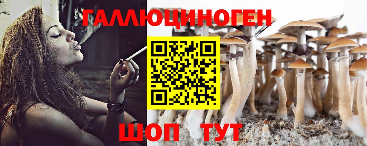 Псилоцибиновые грибы ЛСД  купить закладку  Сибай  Вход с VPN 